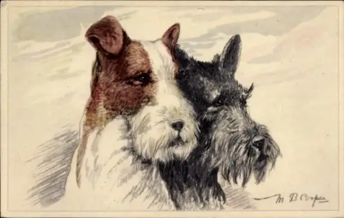 Künstler Ak Hundeportrait, zwei Terrier, Hundeköpfe