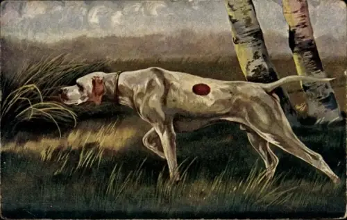 Künstler Ak Jagdhund, Pointer Anglais