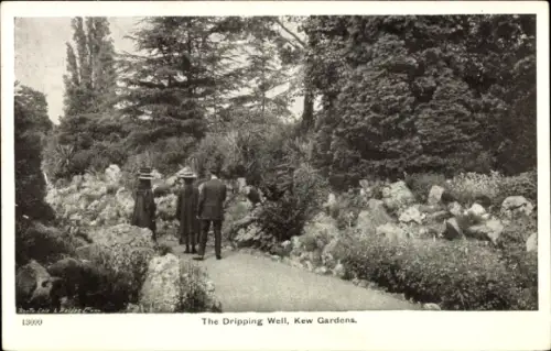 Ak Kew London Borough of Richmond upon Thames, Drei Personen,  Dripping Well, Bäume, Felsen