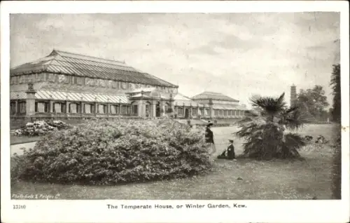 Ak Kew London Borough of Richmond upon Thames, Temperate House, Winter Garden,  Gartenlandschaft,
