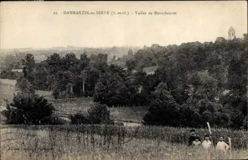 Ak Dammartin en Serve Yvelines, Vallee de Montchauvet