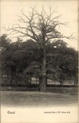 Ak Einsal Nachrodt Wiblingwerde im Sauerland, Lessing Eiche