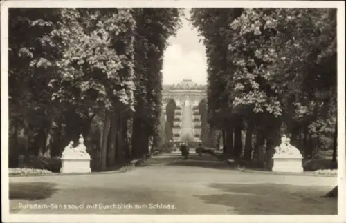 Ak Potsdam Sanssouci, Park, Durchblick zum Schloss, Statuen