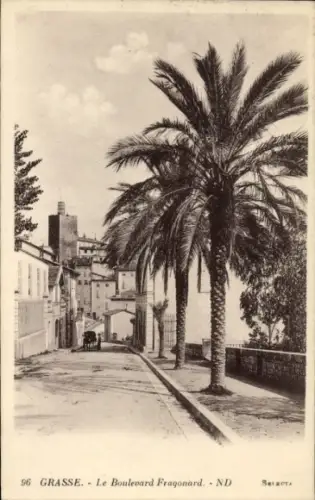 Ak Grasse Alpes Maritimes, Palmen, Straße, Gebäude,  aus  Frankreich