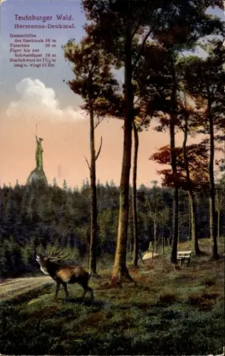 Ak Detmold am Teutoburger Wald,  Hermanns-Denkmal, Statue, Natur, Hirsch