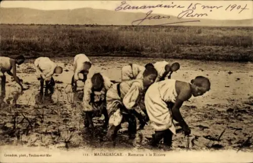 Ak Madagaskar Madagascar, Reisanbau, Arbeiter auf dem Feld