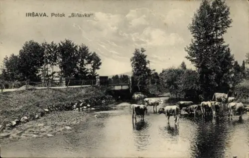 Ak Irschawa Ukraine, Potok Siňavka