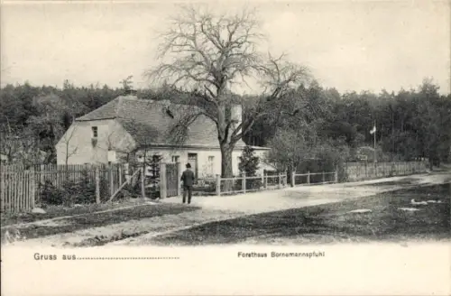 Ak Eberswalde in der Mark, Forsthaus Bornemannspfuhl