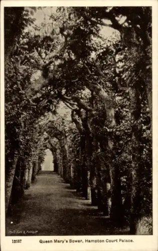 Ak Hampton Richmond upon Thames London England, Landschaftsaufnahme, Baumallee, Queen Mary's Bowe