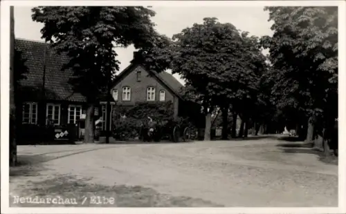 Ak Neu Darchau an der Elbe, Straßenpartie, Allee