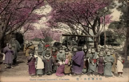 PC Yokohama Pref. Kanagawa Japan, Cherry blossoms Kamon-bill