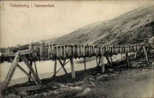 Ak Hammerfest Norwegen, Fisketörring