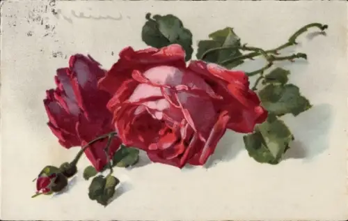 Künstler Ak Klein, Catharina, rote Rosen