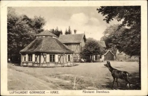 Ak Gernrode Quedlinburg im Harz, Försterei Sternhaus, Reh