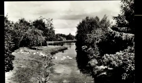 Ak Groningen Niederlande, Volkstuinpark Piccardthof, Een doorkijje