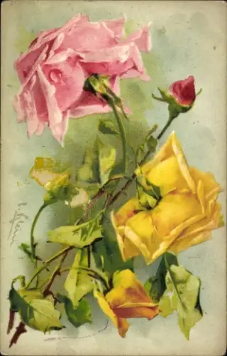Präge Künstler Ak Klein, Catharina, Gelbe und rosafarbene Rosen