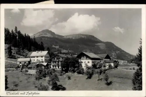 Ak Wildbichl Tirol, Teilansicht des Ortes mit Berglandschaft