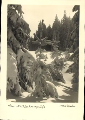 Ak Glückwunsch Neujahr, Verschneite Bäume