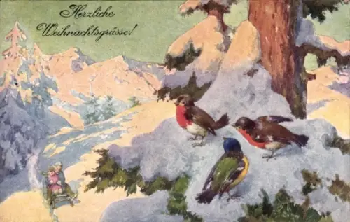 Künstler Ak Frohe Weihnachten, Vögel
