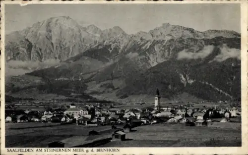 Ak Saalfelden am Steinernen Meer in Salzburg, Berglandschaft, Saalfelden, Birnhorn, 