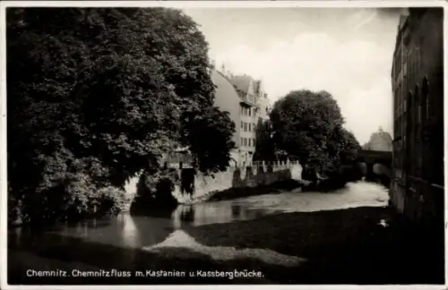 Ak Kaßberg Chemnitz in Sachsen, Chemnitzfluss, Kastanien, Kassbergbrücke