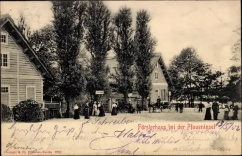 Ak Berlin Zehlendorf Wannsee, Pfaueninsel, Försterhaus