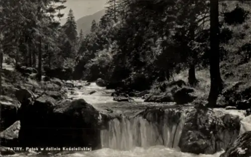 Ak Tatry Polen, Potok w dolinie Kościeliskiej