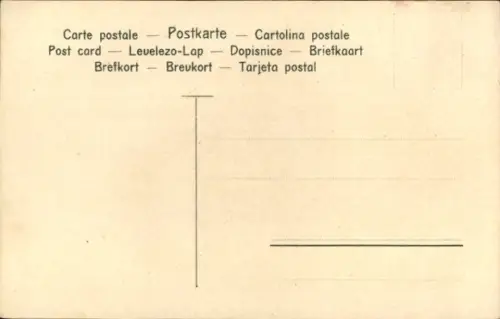 Ak Rouen-Enten, Vögel