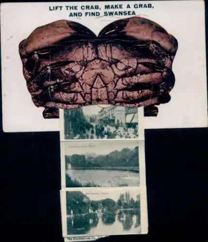 Leporello Ak Swansea Wales, Straßenpartie, Brynmill Park, Cwmdonkin Park, Krabbe