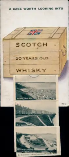 Leporello Ak Filey Yorkshire England, Sands, The Crescent, From the Gardens