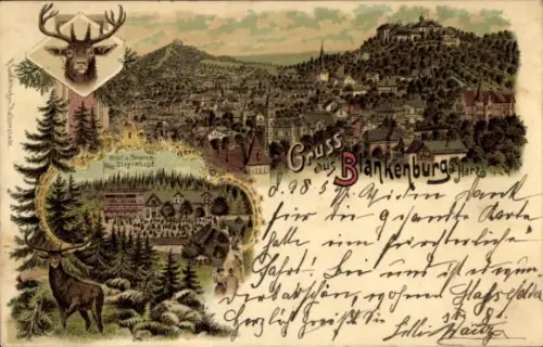 Litho Blankenburg am Harz, Gesamtansicht, Hotel und Pension Ziegenkopf