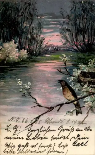 Ak Vogel an einem Gewässer, Baumblüte