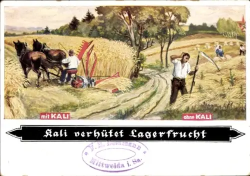 Ak Landwirtschaft, Werbung, Kali verhütet Lagerfrucht