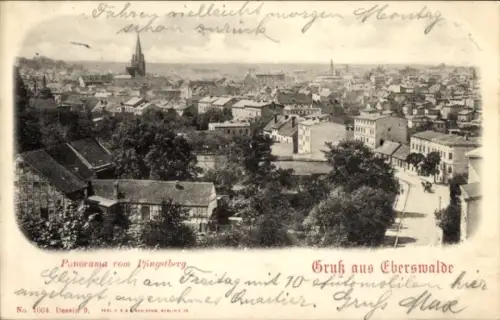 Ak Eberswalde, Panorama, Pfingstberg