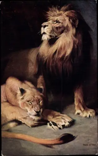 Künstler Ak Styka, T., Lwy, Löwen, Löwin