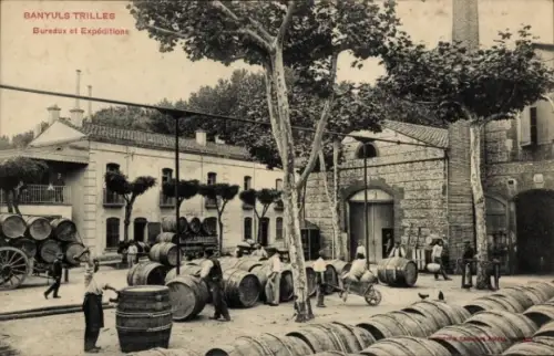 CPA Banyuls sur Mer Pyrénées-Orientales?, Bureaux, Expeditions