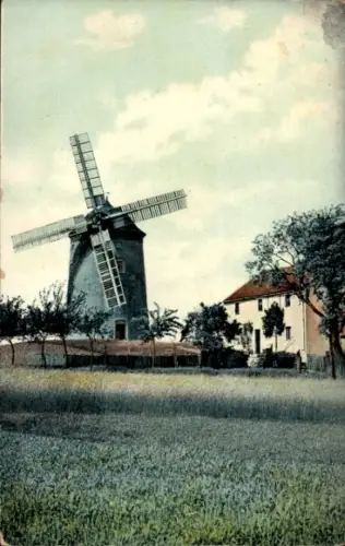 Ak Windmühle, Wohnhaus, Wiese