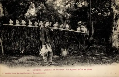 Ak Landes, Waldtaubenjäger