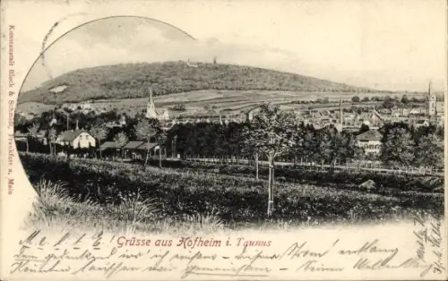 Ak Hofheim im Taunus Hessen, Totale