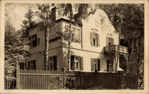 Ak Cínovec Böhmisch Zinnwald Dubí Eichwald Region Aussig, Villa Waldrausch, Kurort  schöner Wald,