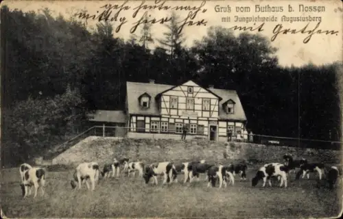 Ak Nossen in Sachsen, Huthaus, Jungviehweide Augustusberg