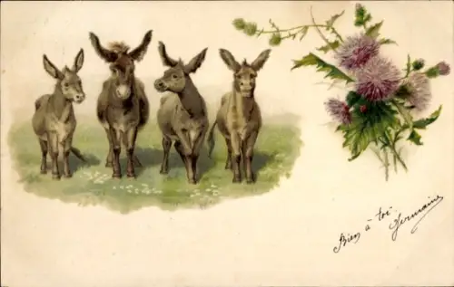 Litho Esel, Distel