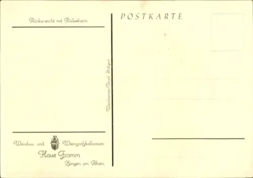 Ak Rüdesheim am Rhein, Haus Fromm, Rückansicht, Rebestöcke