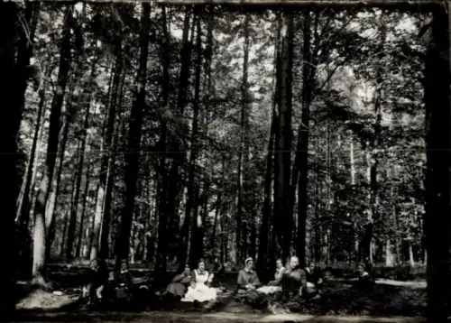 Foto Ak Gliwice Gleiwitz Oberschlesien, Schwestern d. niederländischen Ambulanz, Wald, Mai 1917 1.WK