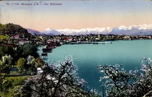 Ak Bregenz am Bodensee Vorarlberg, Bregenz am Bodensee, blühende Landschaft, Berge im Hintergrund