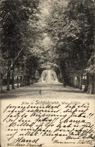Ak Wien 13 Hietzing Österreich, Allee in Schönbrunn