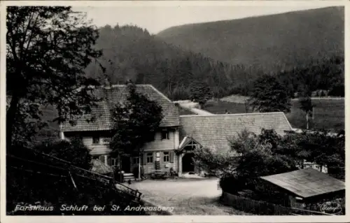 Ak St. Andreasberg Braunlage im Oberharz, Forsthaus Schluft,  Waldlandschaft, 