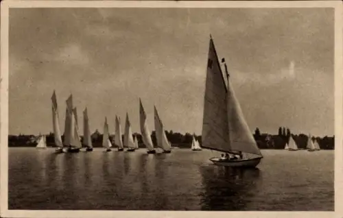 Ak Segelregatta auf dem Bodensee