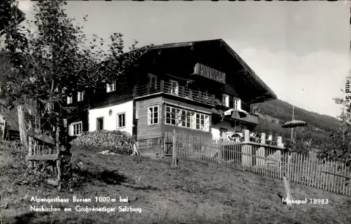 Ak Neukirchen am Großvenediger in Salzburg, Alpengasthaus Buesen, 1000 m, Neukirchen, Großvenedig