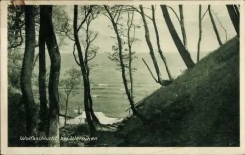 Ak Lesnoje Warnicken Ostpreußen, Wolfsschlucht